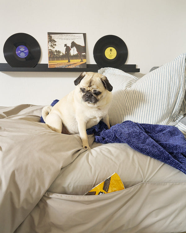 From Farm to Bedroom: Why Cotton Sheets Are the New Essential for Conscious Homes